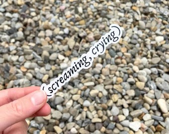 Girly Music Sticker – Screaming, Crying – Swift Quote – Aesthetic Girlhood – For Laptop Water Bottle Journal & More