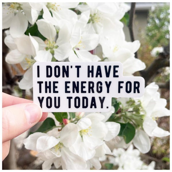 I Don’t Have the Energy for You Today Sticker – Yellowstone Park Quote – Western Cowgirl Vinyl Sticker – Funny Ranch Life