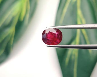 Puede incluir: Una gema de rubí facetada, de forma ovalada, sujeta con pinzas. El rubí es de un color rojo intenso y saturado con superficies reflectantes. El fondo presenta hojas verdes borrosas y una superficie blanca.