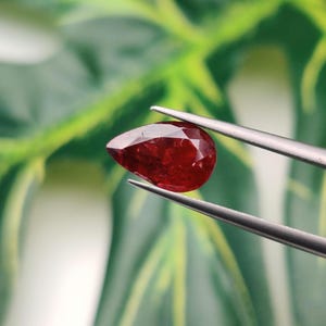Pode incluir: Uma pedra preciosa vermelha escura, facetada, em forma de pêra, segurada por pinças prateadas. A gema tem uma superfície polida e reflete a luz, mostrando sua estrutura interna. O fundo é uma visão desfocada de folhagem verde.