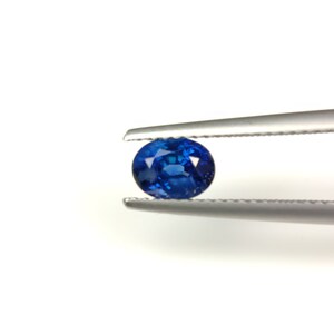 1.03 Cts Natural Royal Blue  sapphire  Loose Gemstone Oval Cut