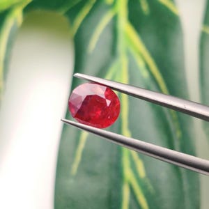 Pode incluir: Uma gema de rubi oval e facetada, segurada por uma pinça. O rubi é de cor vermelha profunda com múltiplas facetas que refletem a luz. O fundo apresenta folhas verdes desfocadas.