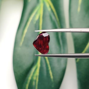 May include: A heart-shaped, faceted, deep red gemstone is held by silver tweezers. The gem has a polished surface and a brilliant shine. The background features a blurred green leaf.