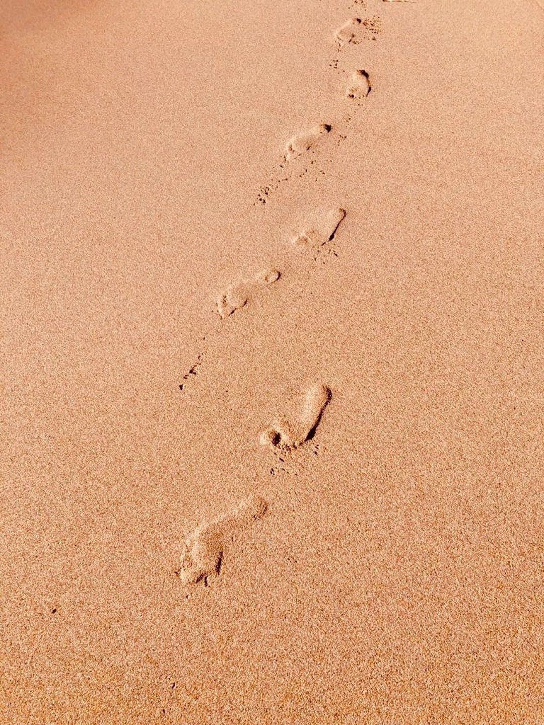 Small Poster / Footprints in the Sand / Digital Image up to 21 Etsy