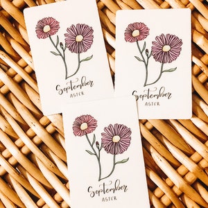 September Aster Sticker || Waterproof || Vinyl