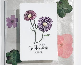 September Aster Sticker || Waterproof || Vinyl