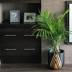 May include: A black planter with gold geometric stripes holds a green potted palm plant. The planter is on a dark wood floor in front of a black dresser with two drawers.