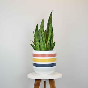 Hudson Plant Pot, Matte White Striped Pot, Plant Pots with Drainage, Aesthetic Planters, Decorative Planter Pots, Modern Plant Stand Pots
