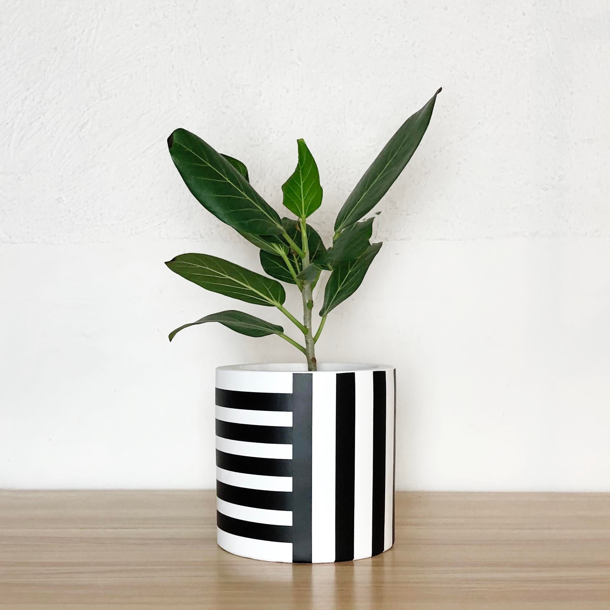 Corry Tall Cylinder Planter Pot For Sale