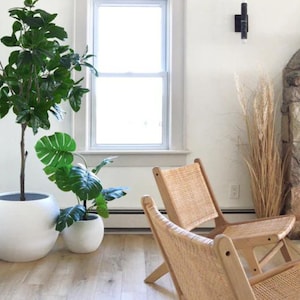 May include: Two wicker chairs with wooden frames sit in a living room with a large potted plant, a smaller potted plant, and a stone fireplace with dried grasses in a vase.