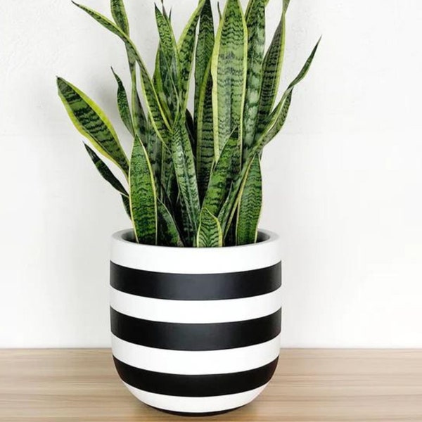 Rugby Plant Pot Black and White Striped, Plant Pots with Drainage, Aesthetic Planters, Decorative Planter Pots, Modern Plant Stand Pots