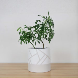 May include: A houseplant with lush green foliage in a cylindrical planter. The planter is white with a geometric grey pattern and a solid grey base. The plant pot sits on a light brown wooden surface. The plant is a Schefflera arboricola.