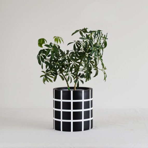Medium Plant Pot 