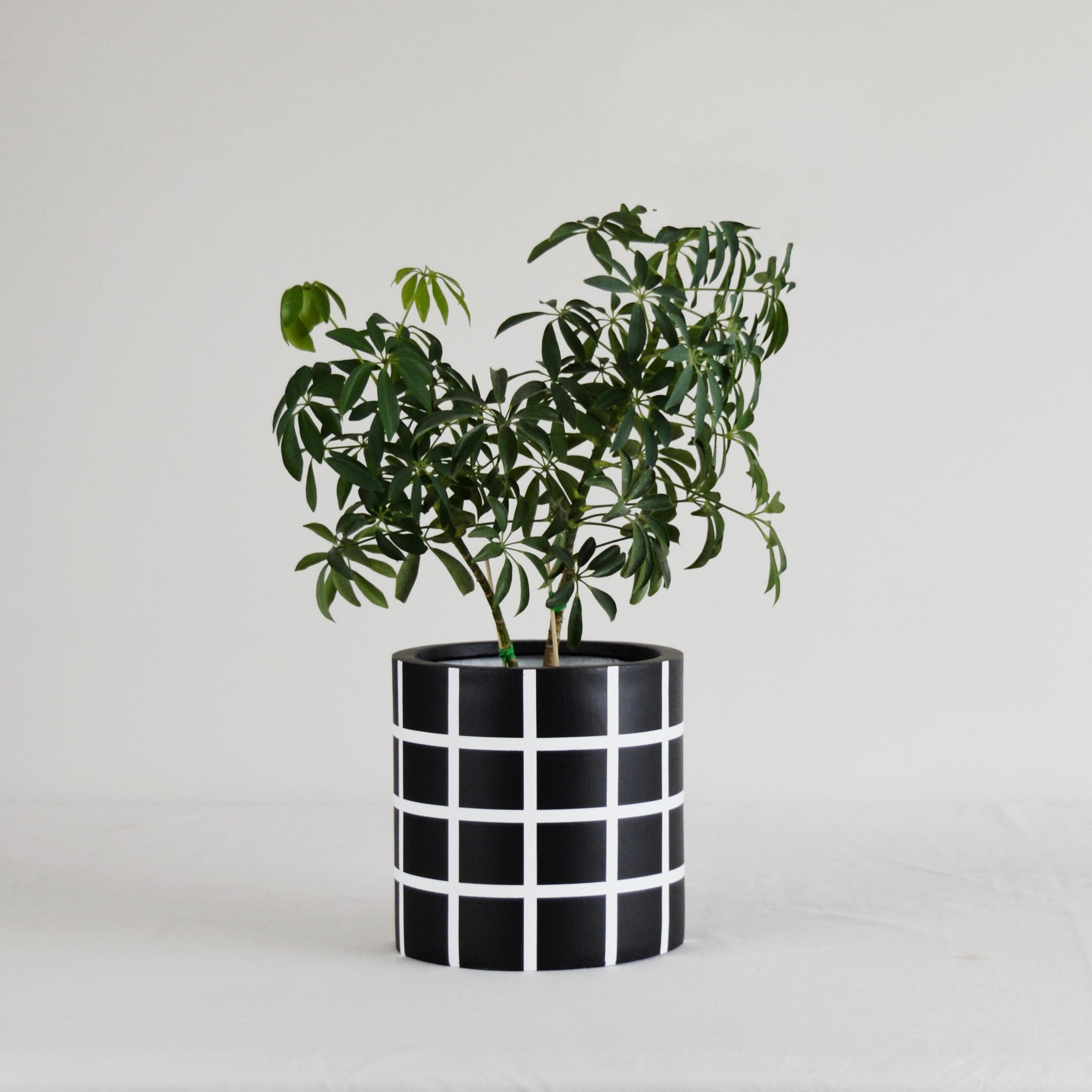 Grid Cylinder Plant Pot, Matte Black and White Planter, Large