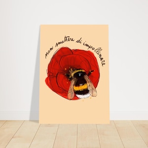 Poster Bombo e Papavero Antifa • Bella ciao •  stampa di illustrazione natura antifascista effetto acquerello • papavero rosso