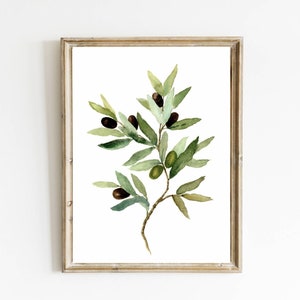 Olive branch print olive tree watercolor painting kitchen wall art neutral botanical painting large floral poster wall decor