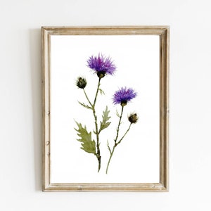 Thistle watercolor painting wildflowers poster farmhouse wall decor large floral print botanical watercolor
