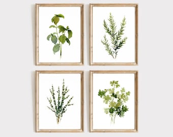 Herbs print set of 4 watercolor painting kitchen wall art Rosemary Parsley Thyme Basil gallery wall poster set