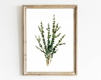 Herbs wall art Thyme watercolor painting kitchen print farmhouse kitchen decor minimalist wall art