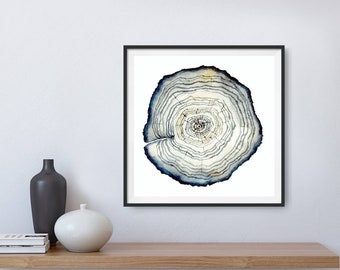 Tree ring print, tree ring art, watercolor tree ring, oak tree ring poster, large tree ring art, color tree ring, minimalist poster