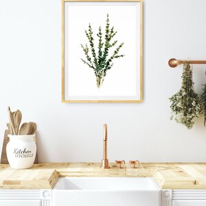 Herbs wall art Thyme watercolor painting kitchen print farmhouse kitchen decor minimalist wall art image 4