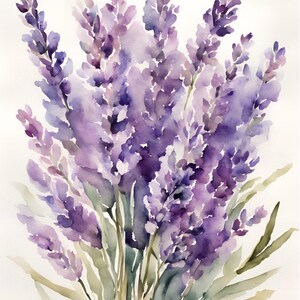 May include: A watercolour painting of lavender flowers in shades of purple and green. The artwork depicts a bouquet of lavender with detailed brushstrokes, capturing the delicate petals and stems against a white background. The floral theme is prominent.