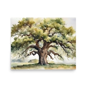 oak tree