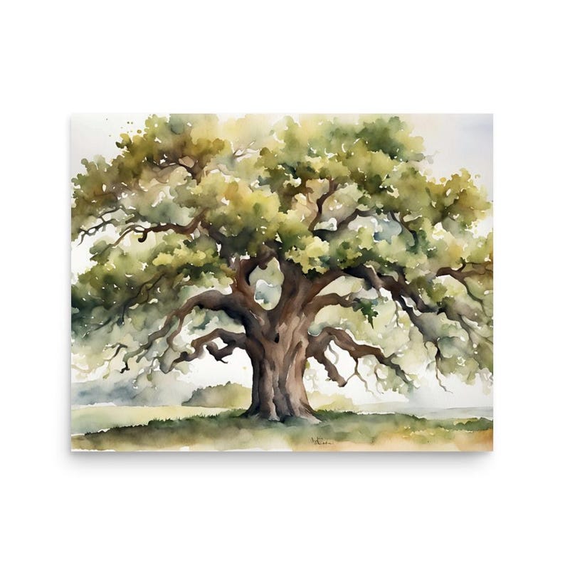 oak tree