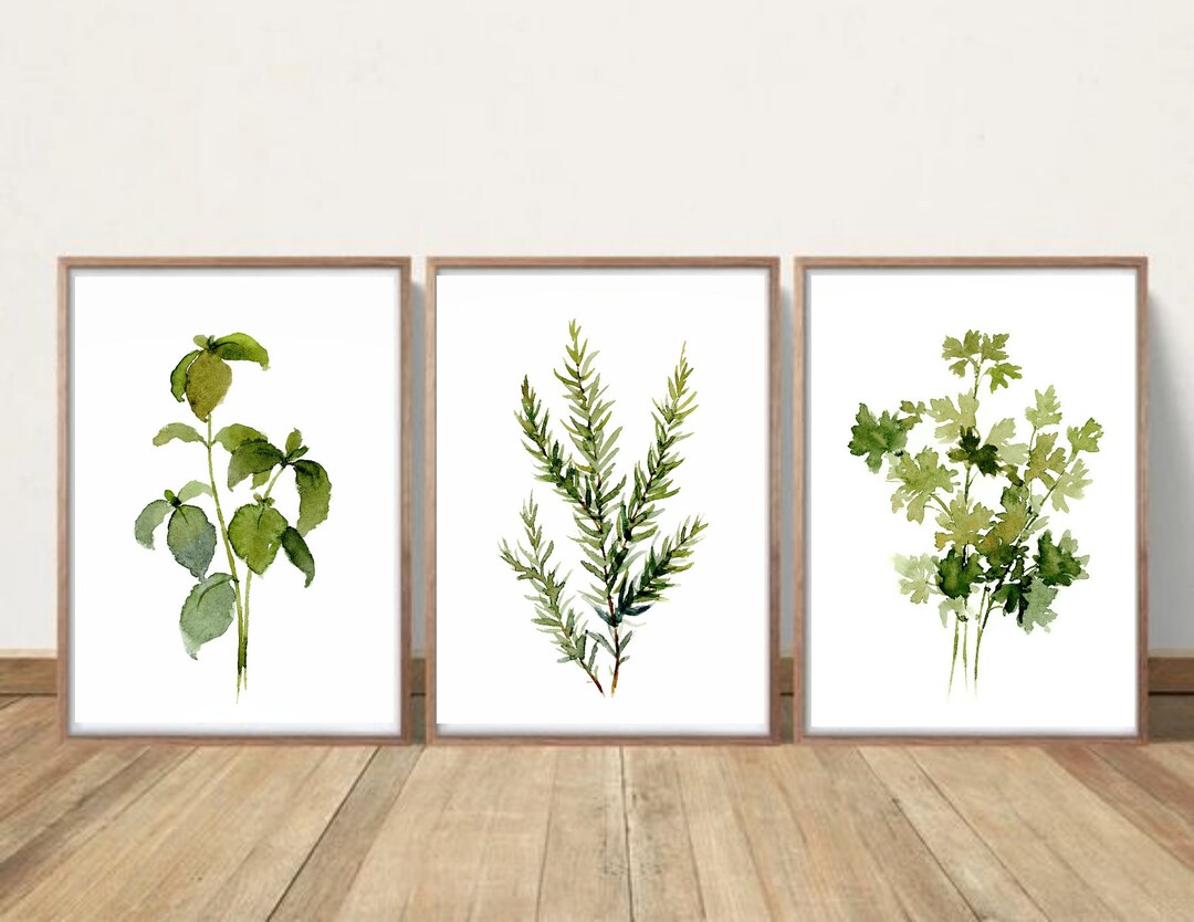 Kitchen Herbs Wall Art Set of 3 Watercolor Painting Rosemary Parsley ...