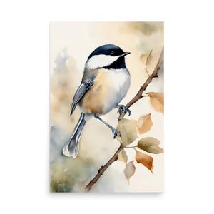 Chickadee