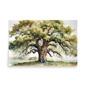 oak tree