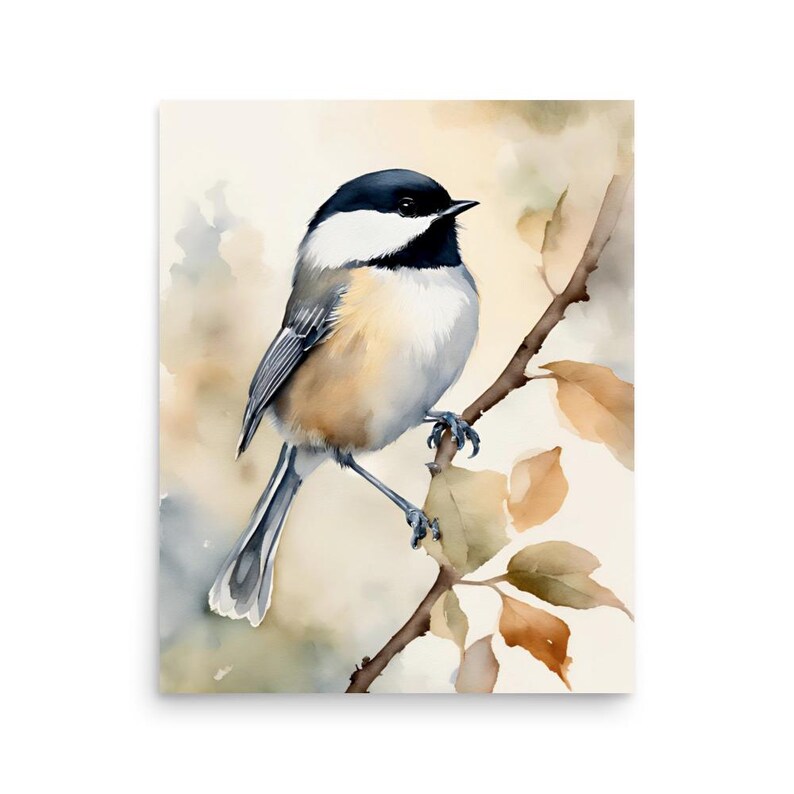 Chickadee