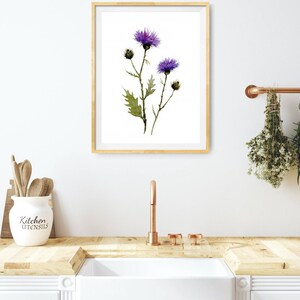 May include: A framed watercolor print featuring purple thistle flowers with green leaves and stems. The artwork is displayed in a gold frame, adding a touch of elegance to the botanical illustration. The print is displayed in a kitchen setting.