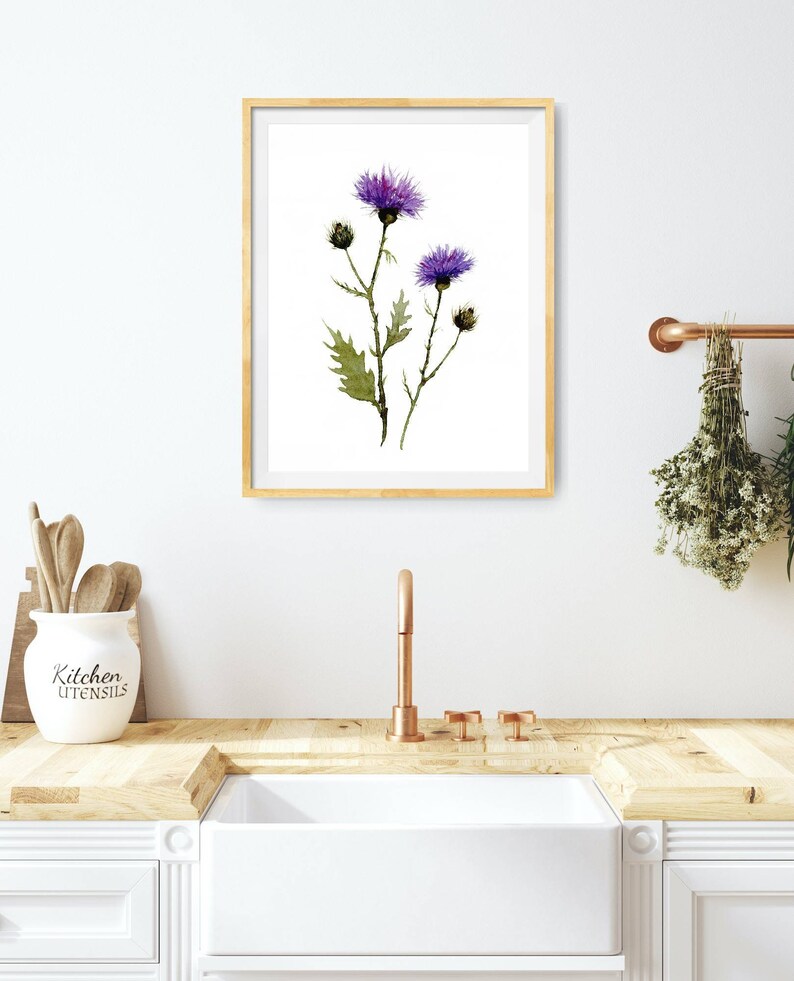 May include: A framed watercolor print featuring purple thistle flowers with green leaves and stems. The artwork is displayed in a gold frame, adding a touch of elegance to the botanical illustration. The print is displayed in a kitchen setting.
