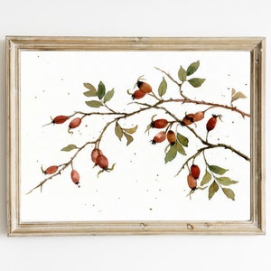 Impresión de pintura botánica de rosa mosqueta de imagen de acuarela original, póster de arte de pared de casa de campo XXL, rama de otoño, arte minimalista