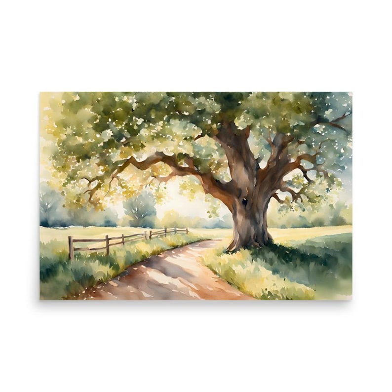 Oak tree road