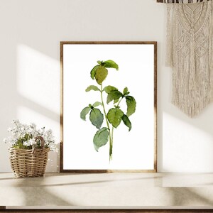 Kitchen Herbs Wall Art Set of 3 Watercolor Painting Rosemary Parsley ...