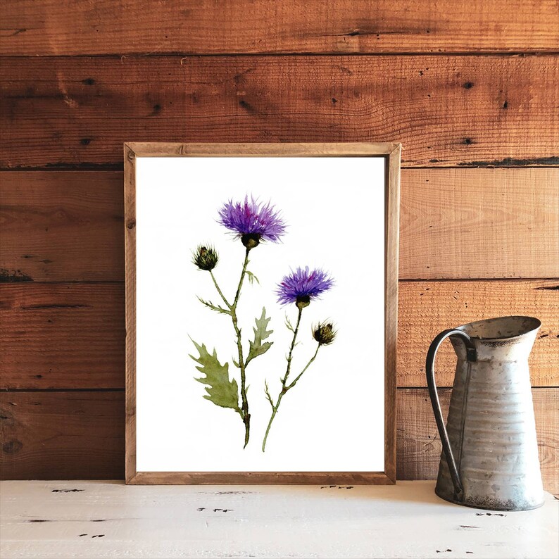 May include: A framed watercolor print featuring purple thistle flowers with green leaves and stems. The artwork is set against a white background and framed in a light brown wooden frame. A rustic metal pitcher sits to the right of the frame.