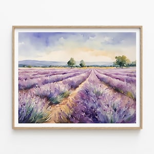 May include: A watercolor painting of a lavender field in Provence, France. The painting depicts rows of purple lavender flowers, a dirt path leading into the field, and a blue sky with white clouds.
