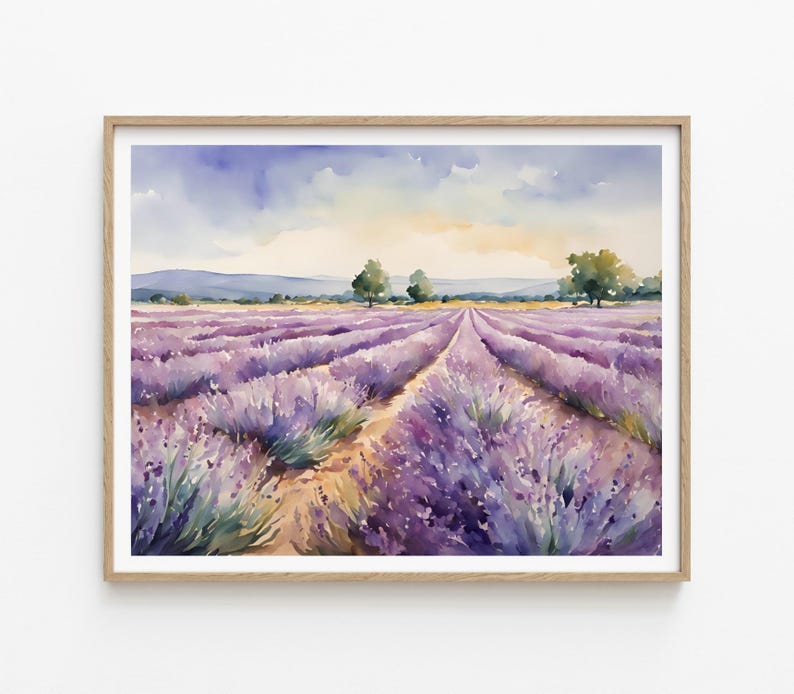 May include: A watercolor painting of a lavender field in Provence, France. The painting depicts rows of purple lavender flowers, a dirt path leading into the field, and a blue sky with white clouds.