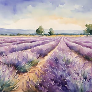 May include: A watercolor painting of a field of lavender flowers. The flowers are in rows and the field is surrounded by hills in the distance. The sky is a light blue with white clouds.