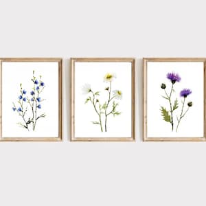 May include: Set of three framed watercolor prints featuring botanical illustrations. The prints showcase delicate flowers in shades of blue, white, and purple, with green foliage. Each print is in a wooden frame, creating a cohesive wall art set.