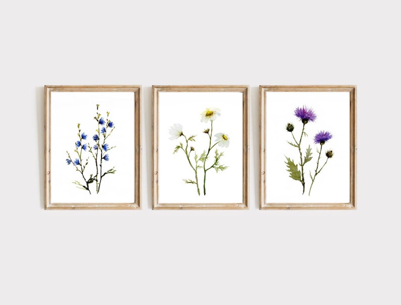 May include: Set of three framed watercolor prints featuring botanical illustrations. The prints showcase delicate flowers in shades of blue, white, and purple, with green foliage. Each print is in a wooden frame, creating a cohesive wall art set.