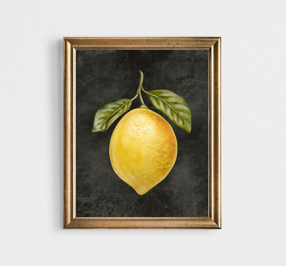 Zitrone Bild auf Leinwand Kunstdruck Bilder Küche Zitronenbaum Landhaus Deko Aquarellbilder Küchen Poster