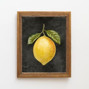 Citronbild på kanvas, konsttryck, köksbilder, citronträd, lantlig husinredning, akvarellbilder, köksaffisch bild 4