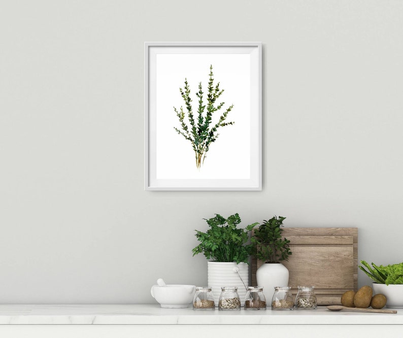 Herbs wall art Thyme watercolor painting kitchen print farmhouse kitchen decor minimalist wall art image 7