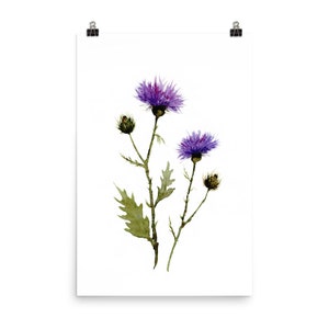 May include: A watercolor print featuring purple thistle flowers with green leaves and stems. The artwork is mounted on white paper and held by two black binder clips, creating a botanical theme.