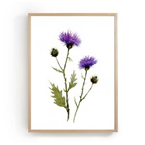 May include: Watercolor painting of purple thistle flowers with green leaves and stems, set against a white background. The artwork is framed in a light brown wooden frame, suitable for home decor.