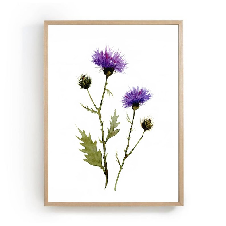 May include: Watercolor painting of purple thistle flowers with green leaves and stems, set against a white background. The artwork is framed in a light brown wooden frame, suitable for home decor.