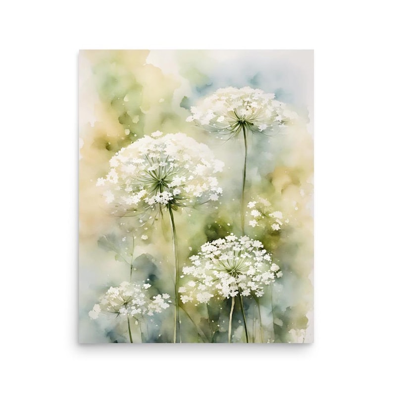 Queen Anne s lace